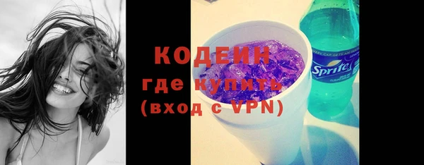 метадон Богданович