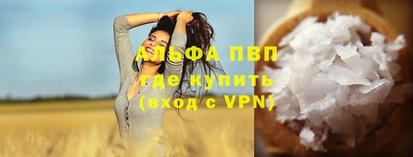 метадон Богданович