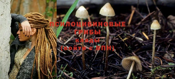 МДПВ Богородицк