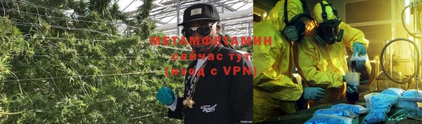 метадон Богданович