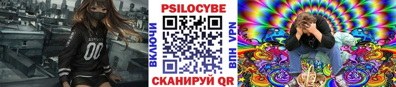 Псилоцибиновые грибы MAGIC MUSHROOMS  Купить закладки  Тында 